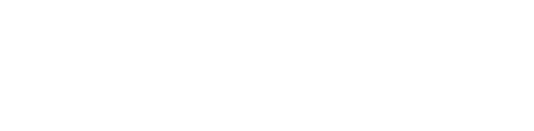 Partners_1